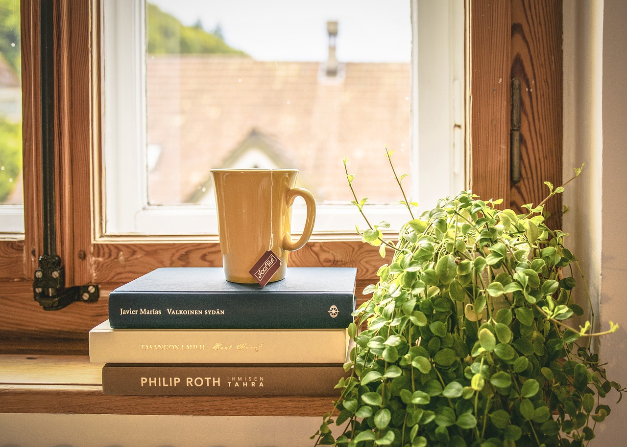窓と本と植物
