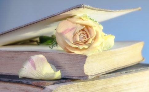 本とバラの花